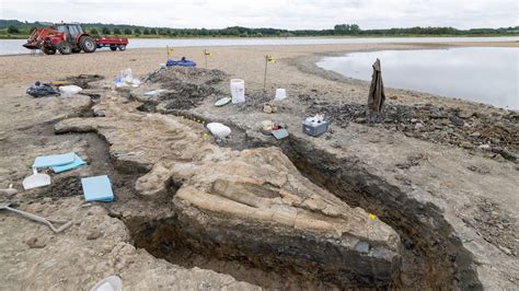 ichthyosaur fossil found in england.